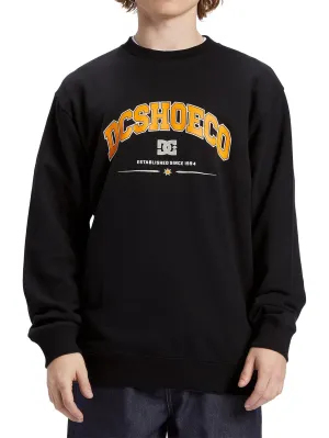 DC Men's Orientation Pullover