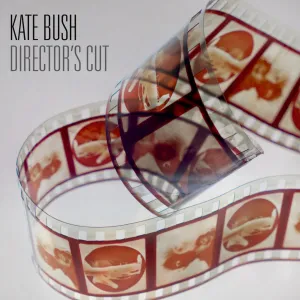 Director's Cut (2018 Reissue) - Kate Bush (Vinyl) (AE)