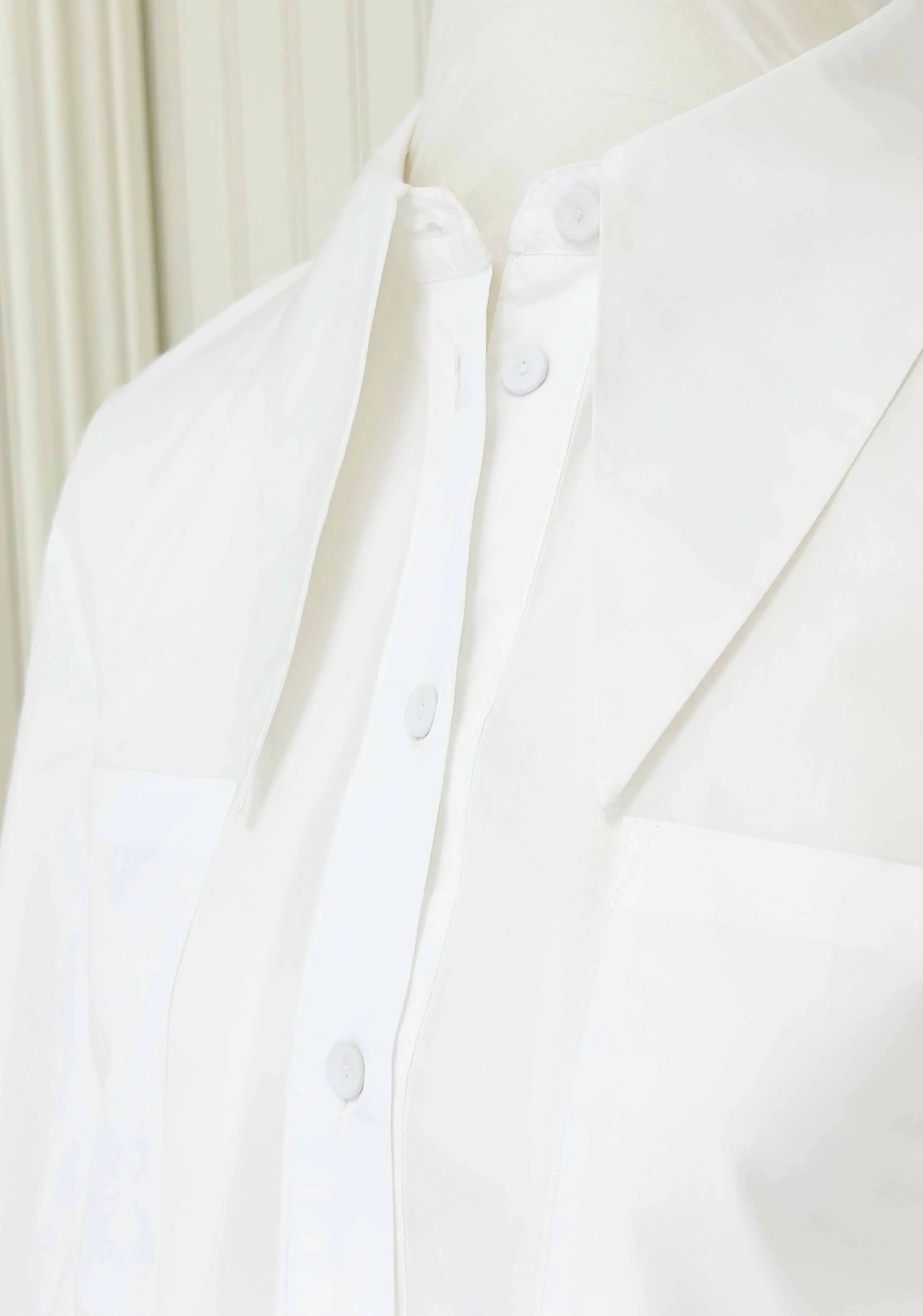 Eileen Collar Dress, White