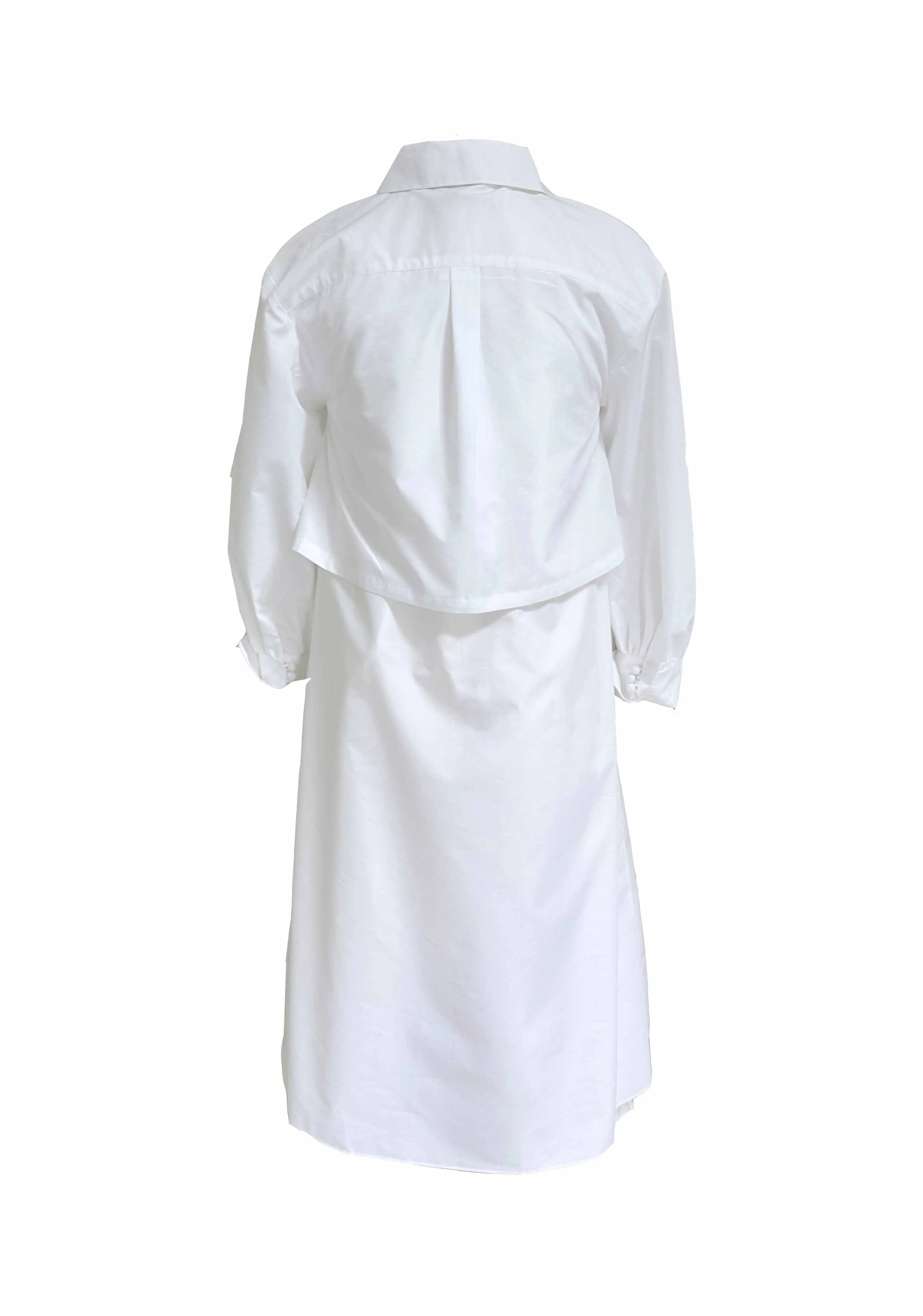 Eileen Collar Dress, White
