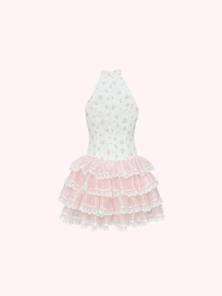 Enchanted Rose Ballet Dress