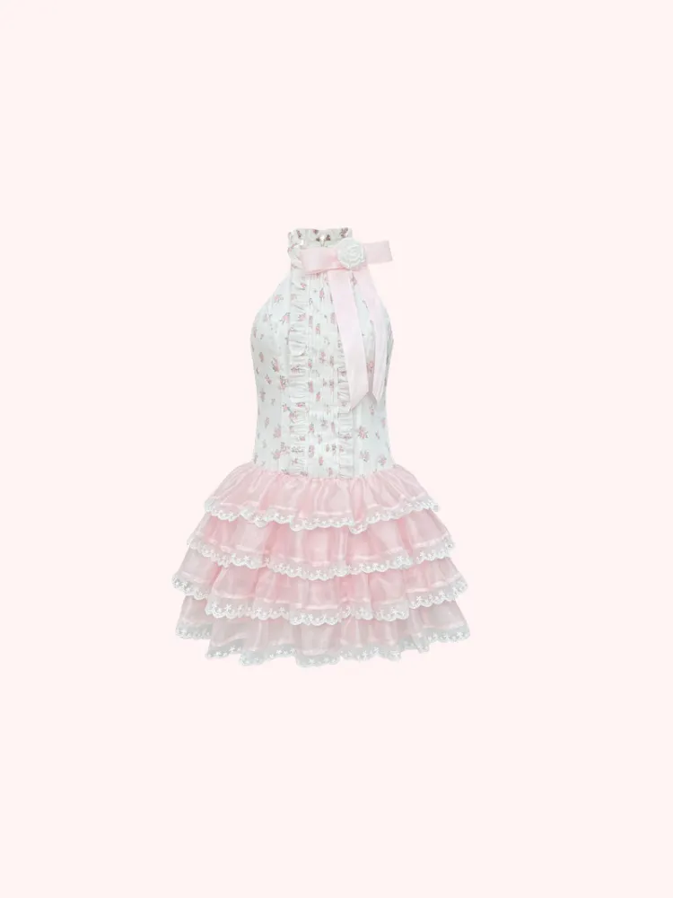 Enchanted Rose Ballet Dress