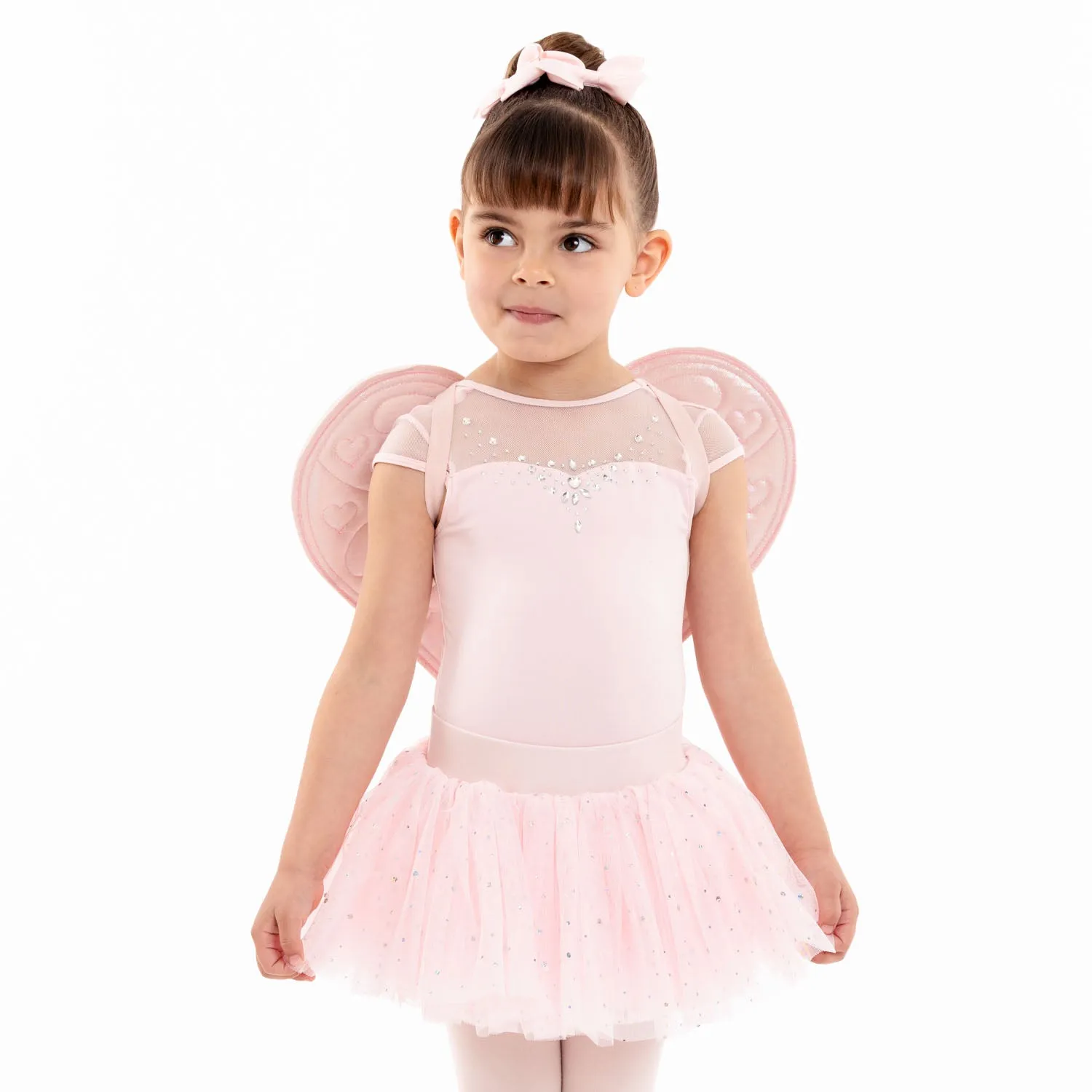 Fairy Wings and Tutu Bundle