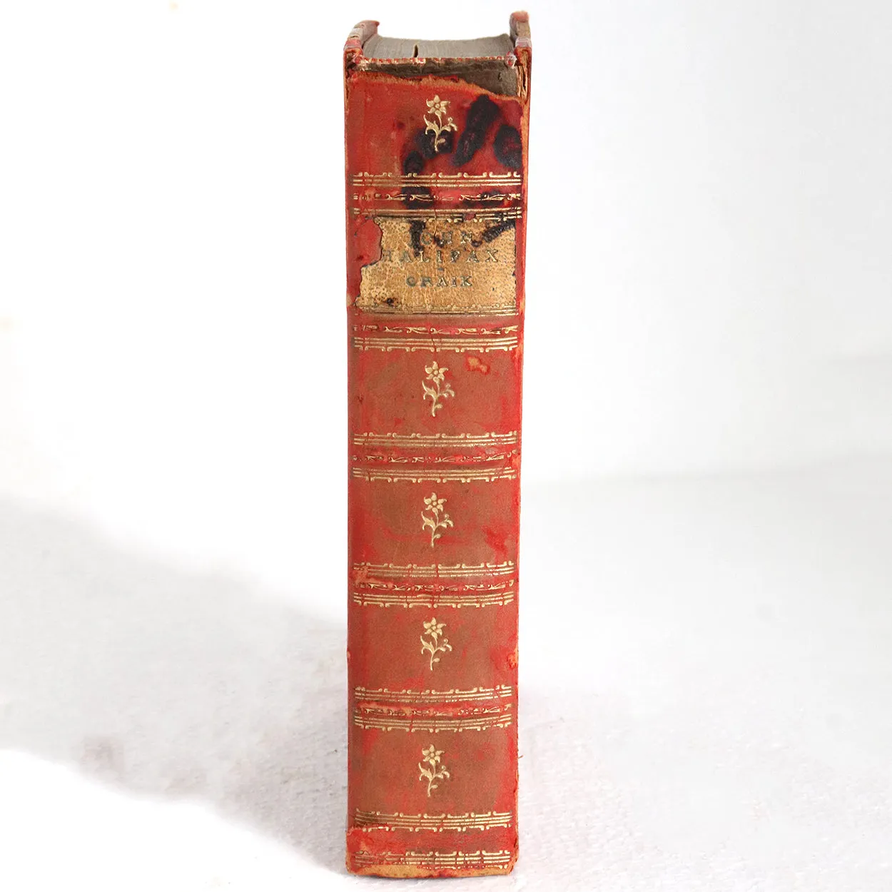 Leather Bound Book: John Halifax, Gentleman by Dinah Craik and Illustrator Chris Hammond