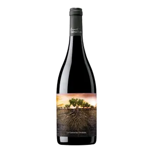 Proyecto Garnachas Olvidada De Aragon 2020