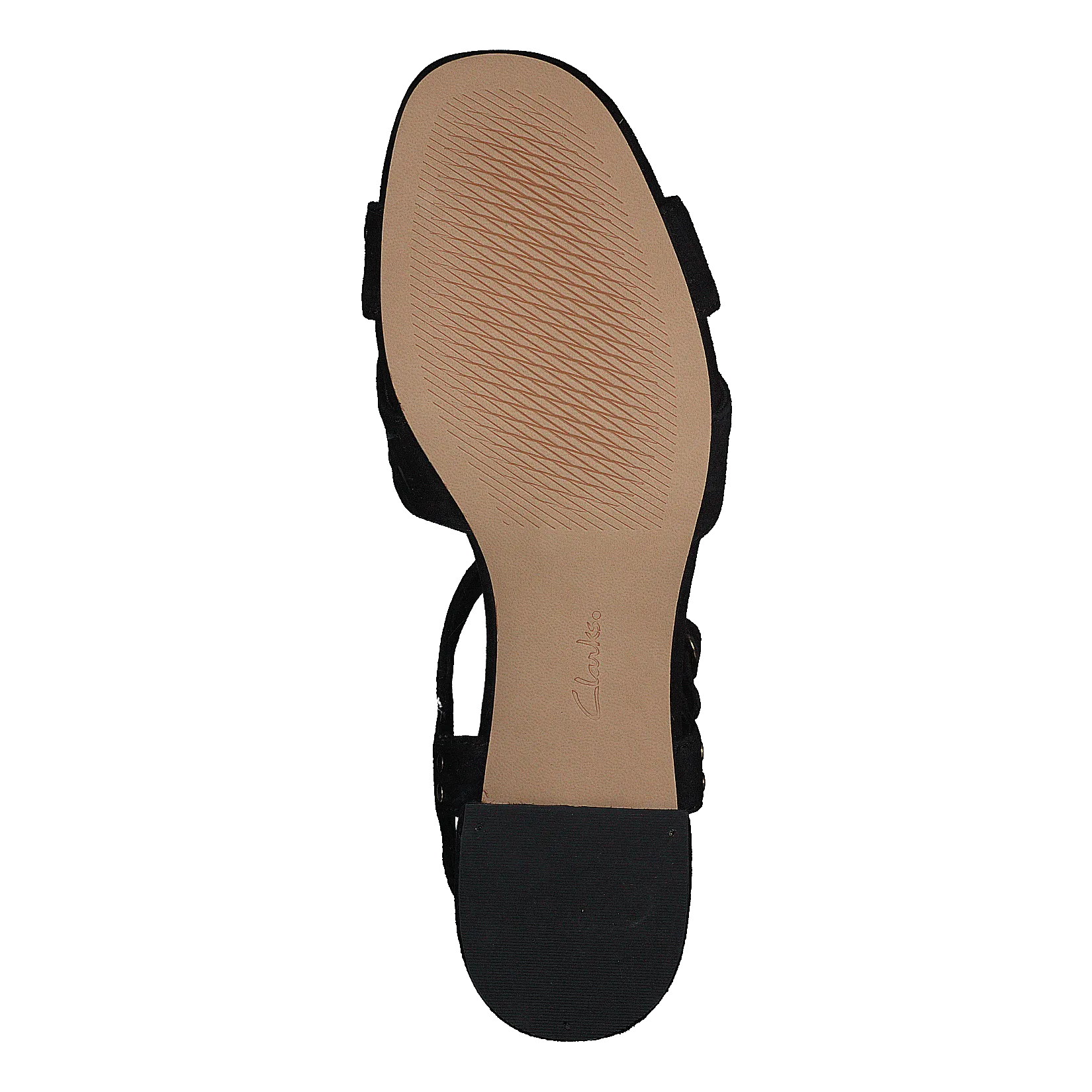 Sheer35 Strap Black Suede Studded