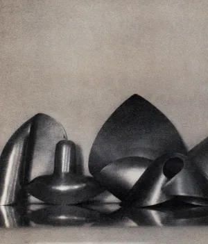 SHEILA METZNER "MOUILLE SHAPES" PHOTOGRAPH, 1986