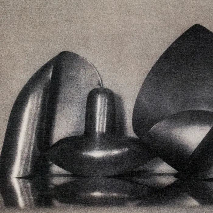 SHEILA METZNER "MOUILLE SHAPES" PHOTOGRAPH, 1986