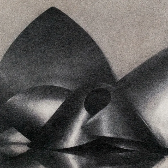 SHEILA METZNER "MOUILLE SHAPES" PHOTOGRAPH, 1986