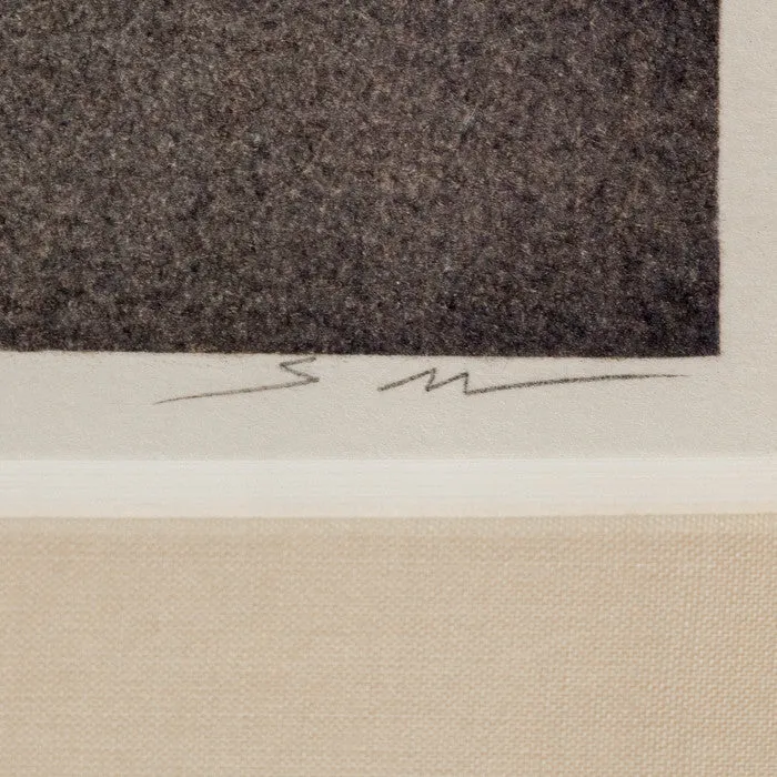 SHEILA METZNER "MOUILLE SHAPES" PHOTOGRAPH, 1986