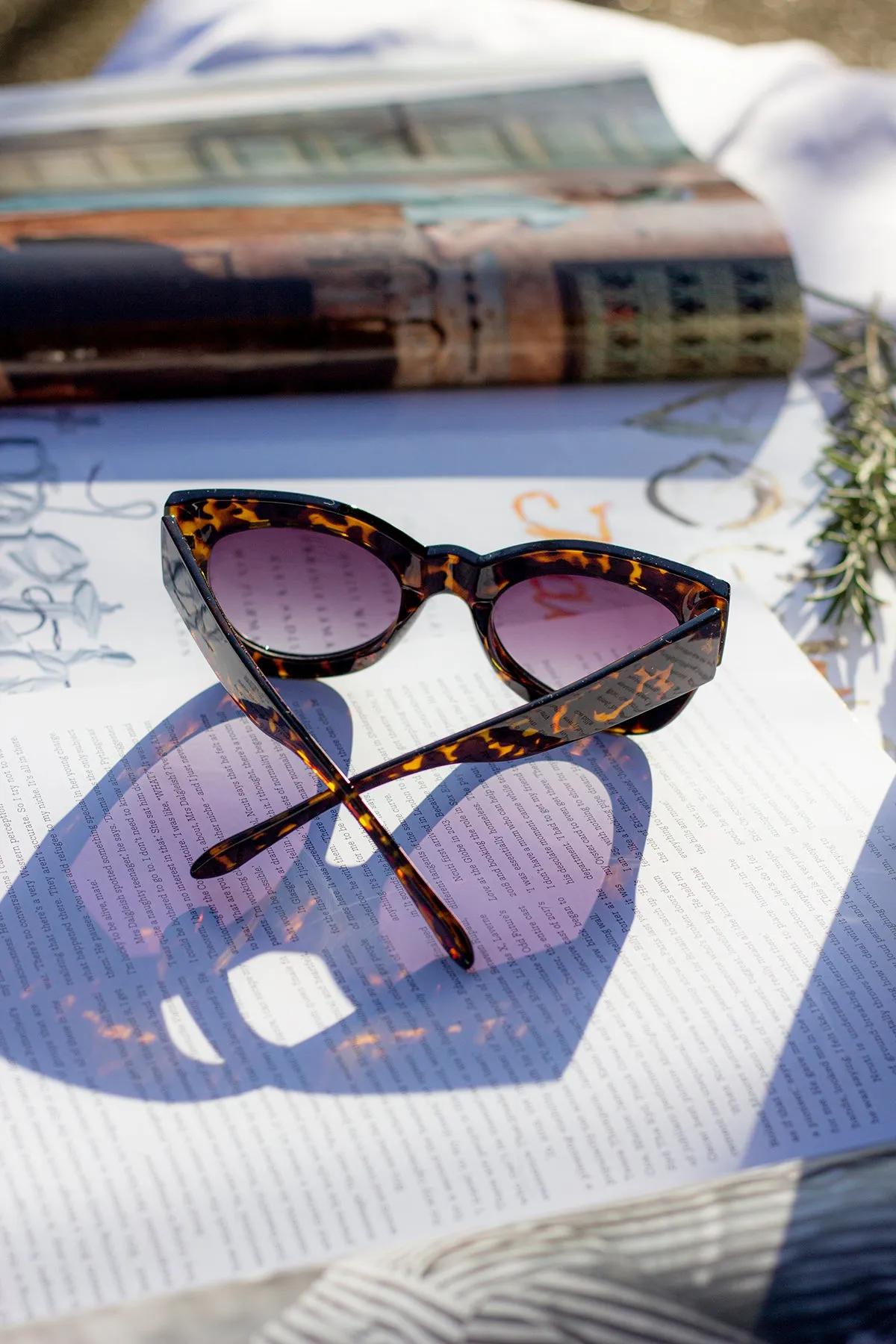 Thick Framed Chunky Cat Eye Sunglasses