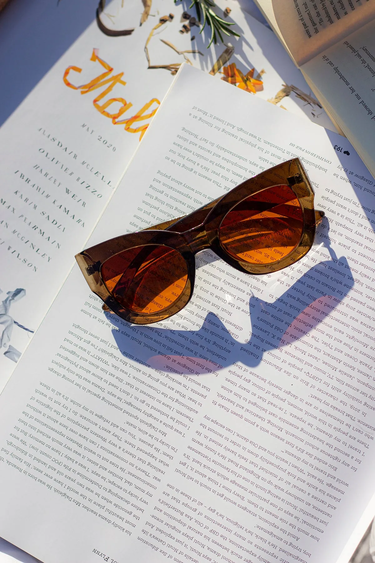 Thick Framed Chunky Cat Eye Sunglasses