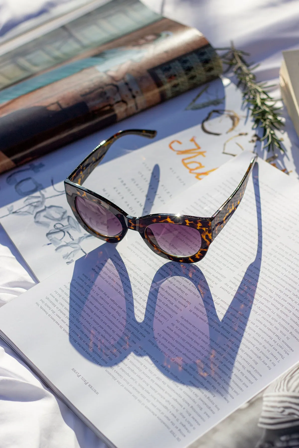 Thick Framed Chunky Cat Eye Sunglasses