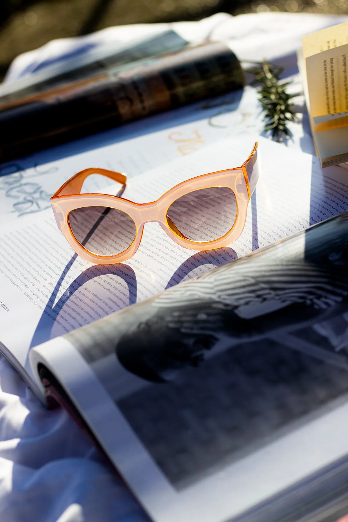 Thick Framed Chunky Cat Eye Sunglasses