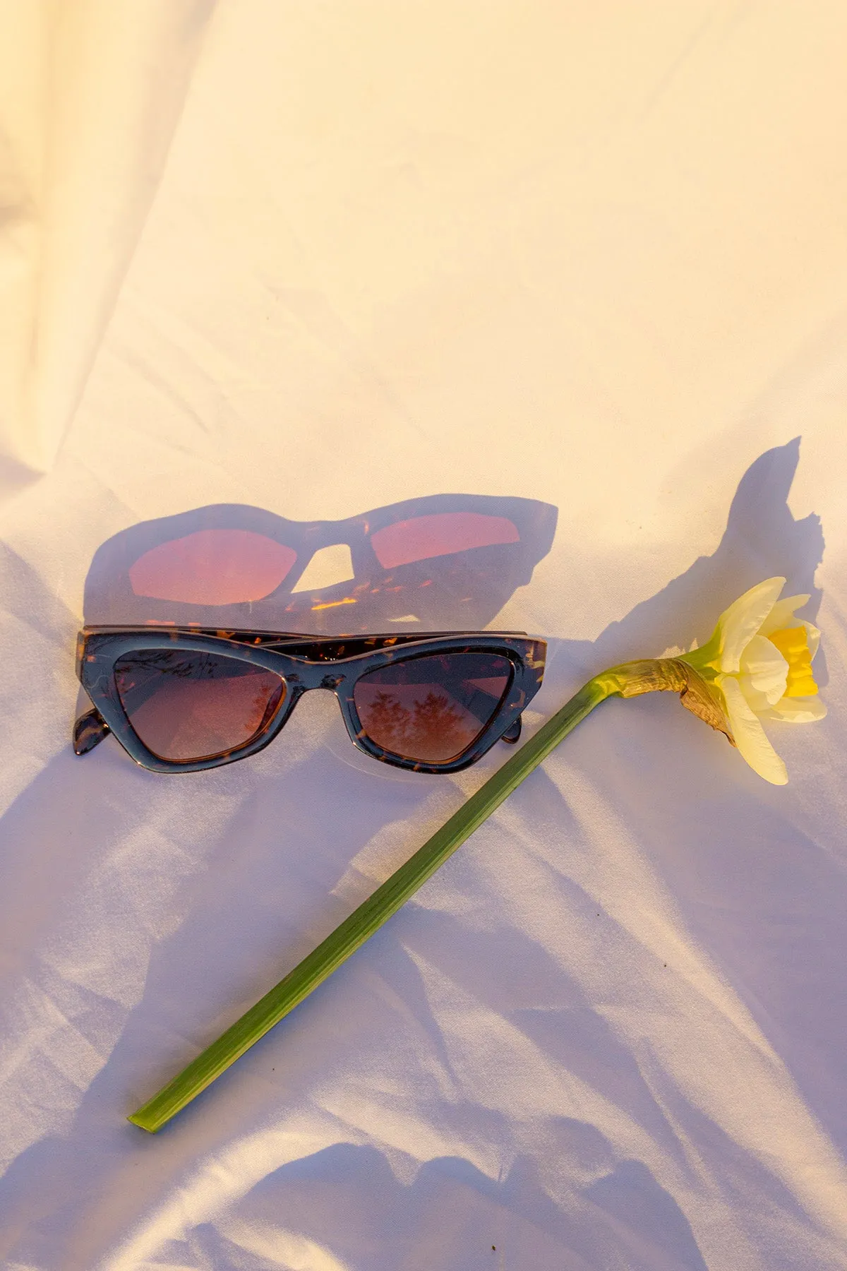 Triangular Cut Block Sunglasses