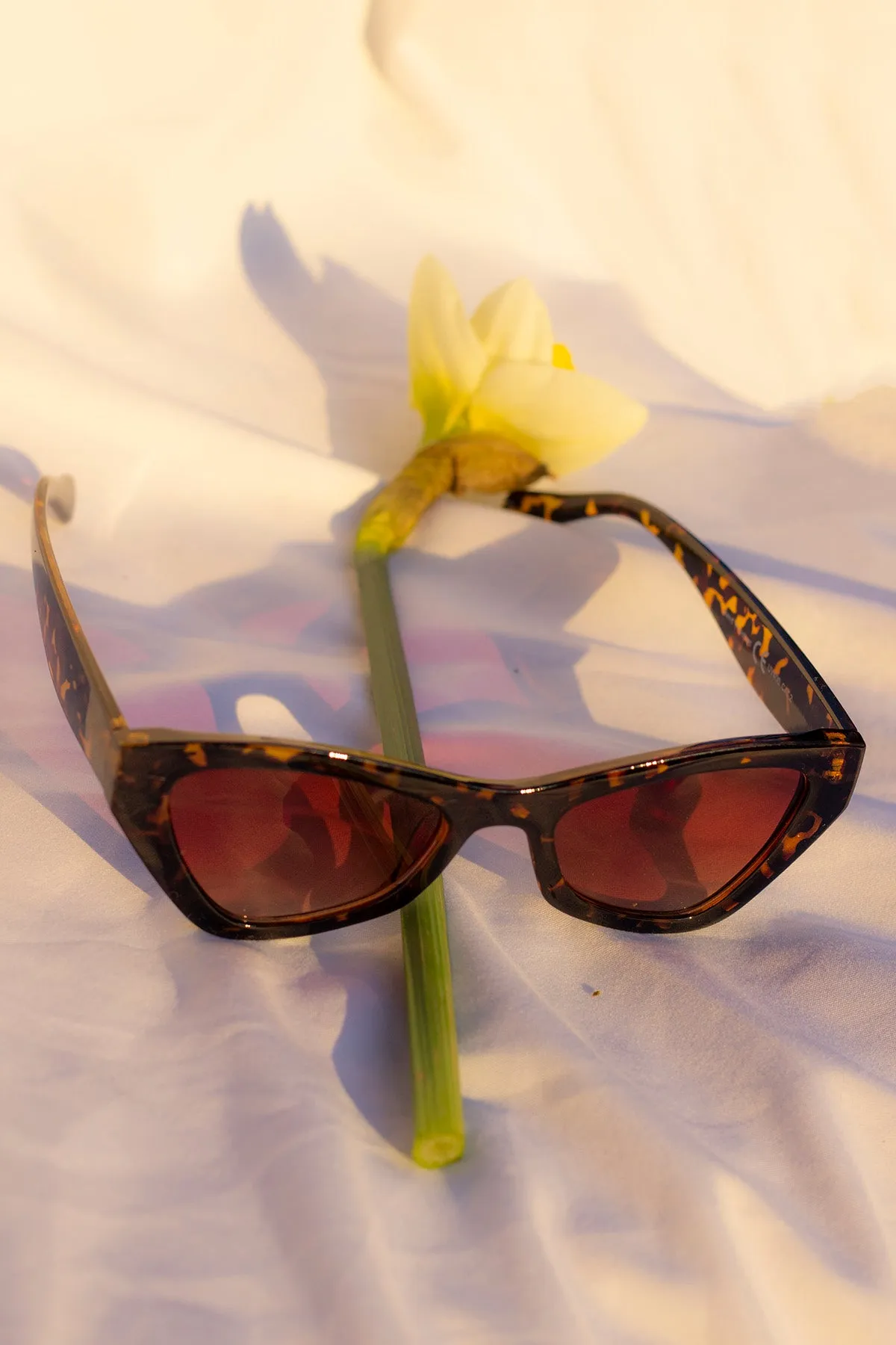 Triangular Cut Block Sunglasses