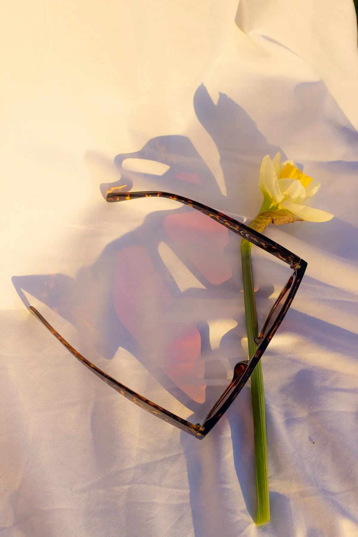 Triangular Cut Block Sunglasses