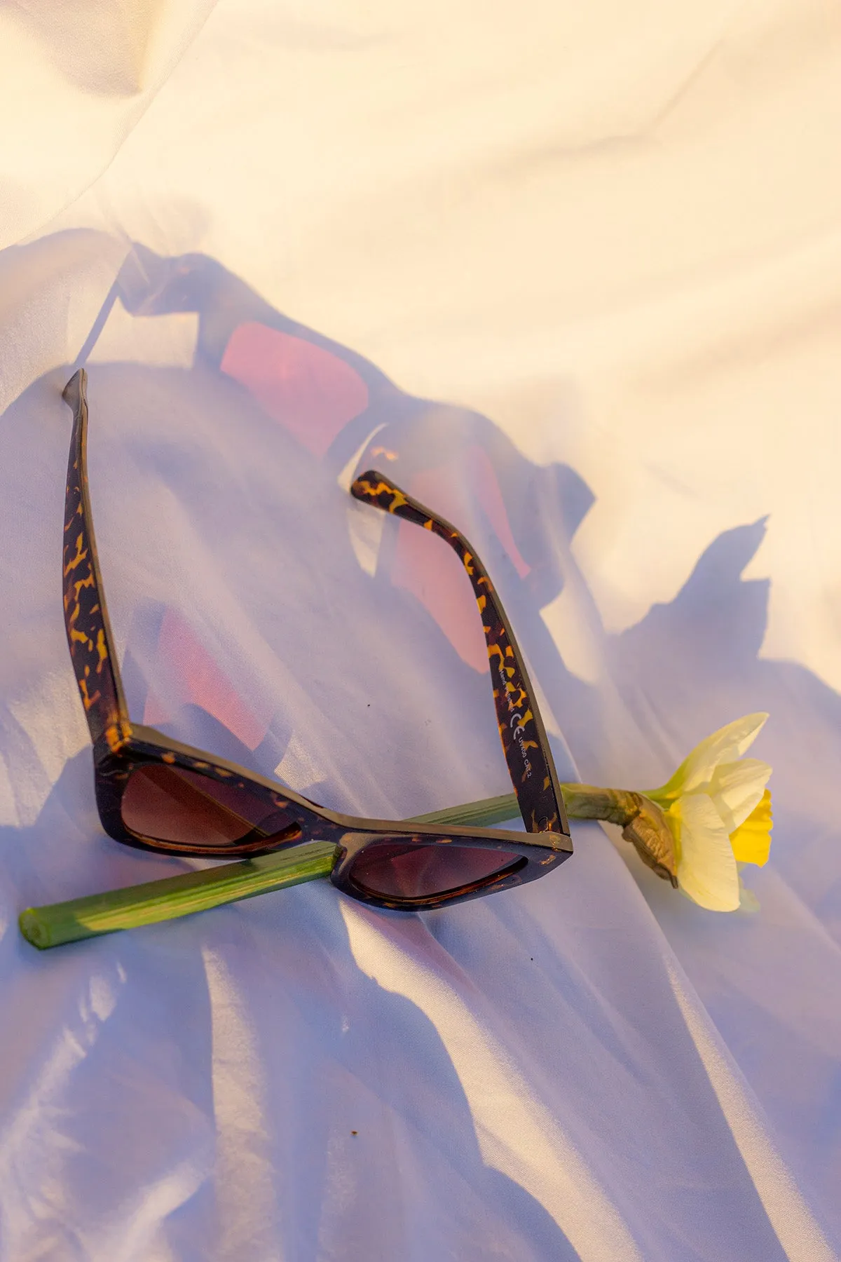 Triangular Cut Block Sunglasses