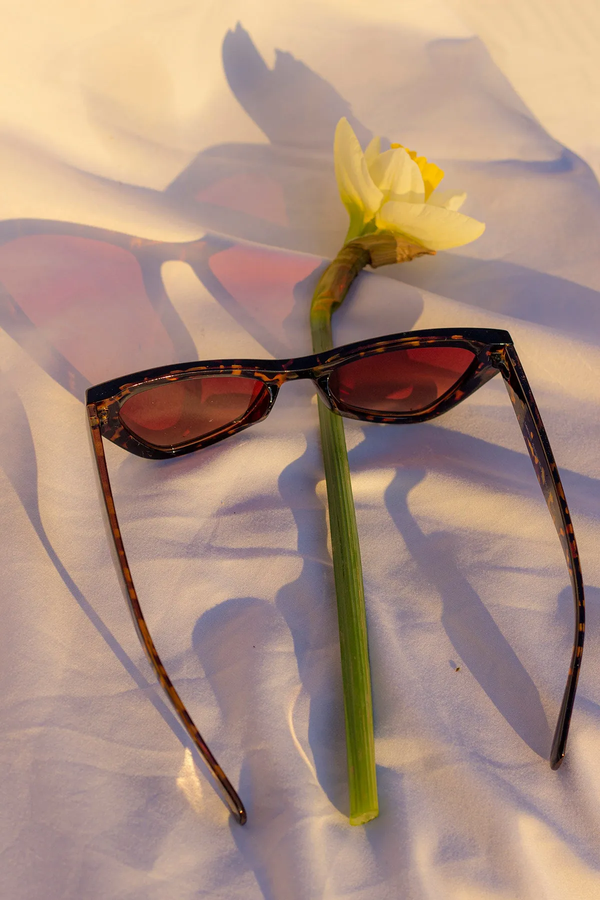 Triangular Cut Block Sunglasses