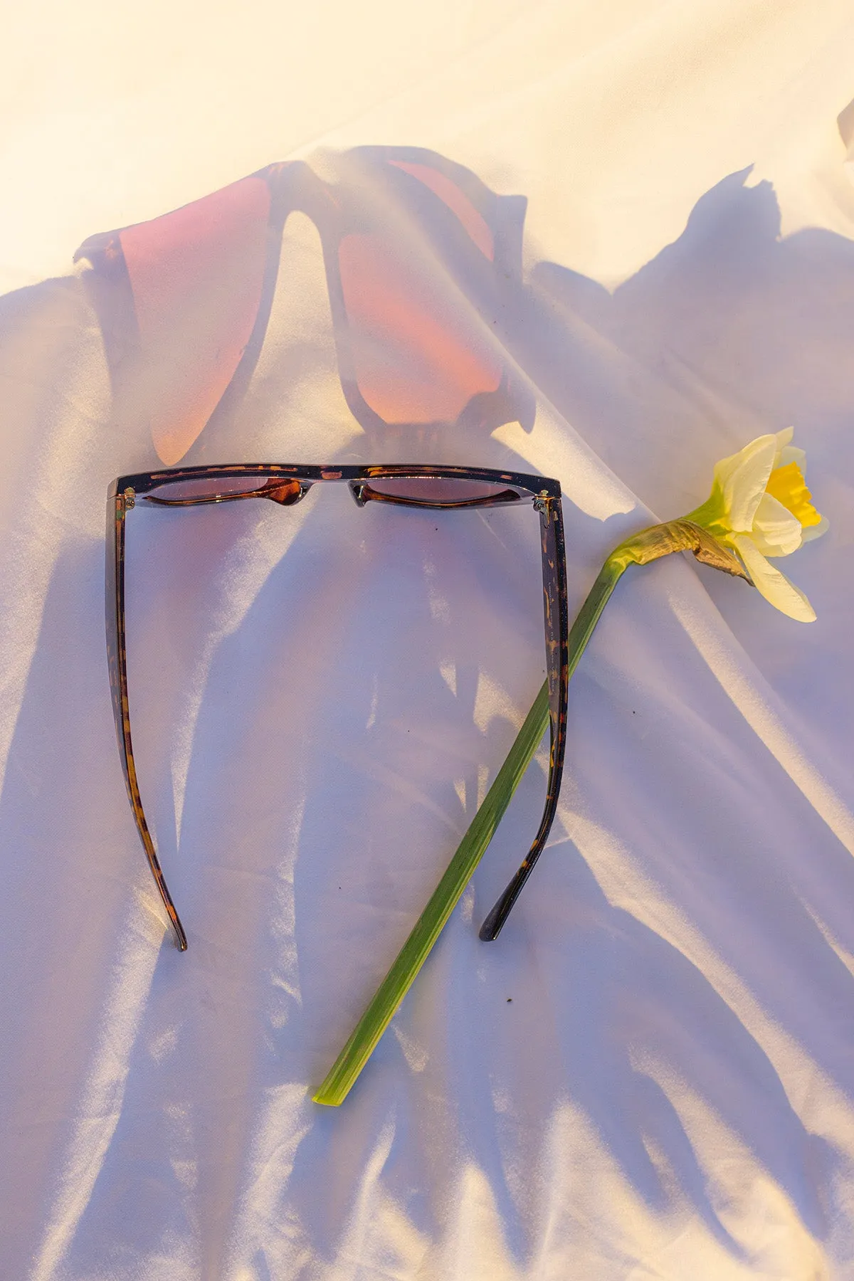 Triangular Cut Block Sunglasses