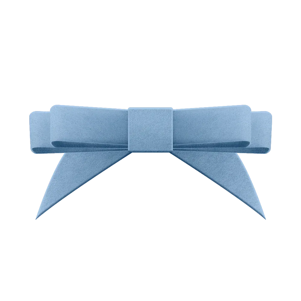 Velvet Bow